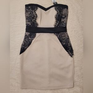 Elegant Lace Trim Dress in Black and Cream